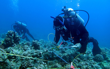 Scientists Russ Schmitt, Sally Holbrook conduct research on corals at the NSF Moorea LTER site.